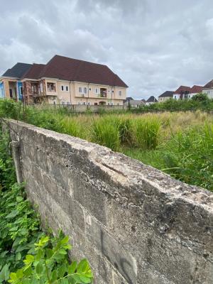 Half Plot of Land with Cofo, Hossana Estate, Ago Palace, Isolo, Lagos, Residential Land for Sale