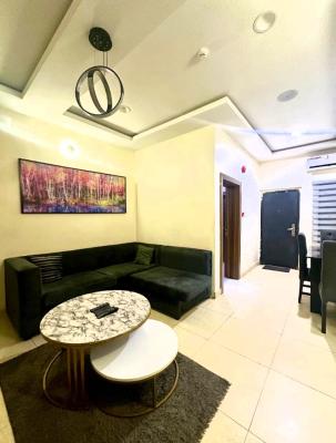 Fully Furnished and Well Serviced Luxury 2 Bedroom Apartment, Off Bode Thomas, Surulere, Lagos, Flat / Apartment Short Let