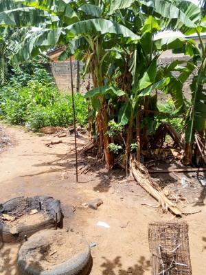 a Full Plot of Land in a Serene Environment, Ewedongon, Lasu Igando Expressway, Akesan, Akesan, Alimosho, Lagos, Land for Sale