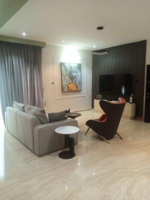 Furnished 4 Bedrooms Apartment with Bq Old Ikoyi, Old Ikoyi, Ikoyi, Lagos, House for Rent