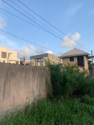 This 300sqm Cutting Across Major Road., Ikate, Lekki, Lagos, Land for Sale