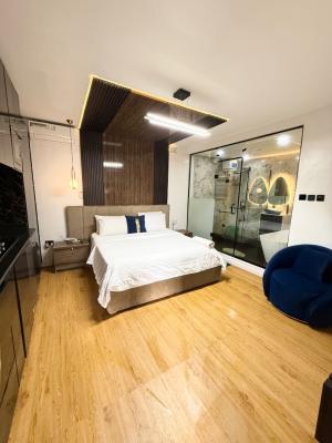Fully Furnished Studio in Lekki, Lekki Phase 1, Lekki, Lagos, Flat / Apartment for Sale