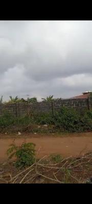 Half Plot of Land, Gbopa Road Abule Ijede, Ikorodu, Lagos, Residential Land for Sale