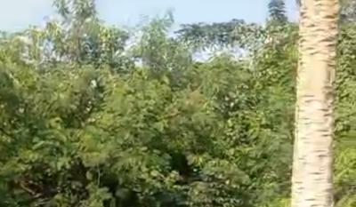 2000sqm Empty Land, Kudirat Abiola Way, Oregun, Ikeja, Lagos, Land for Sale