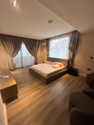 Very Lovely Fully Furnished 2 Bedroom Apartments, Ikate, Ikate, Lekki, Lagos, Flat / Apartment for Sale