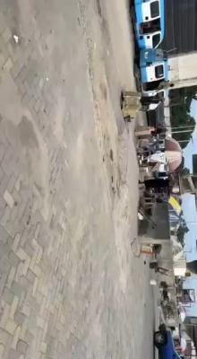 an Open Space Viable for Carlot, Vgc Ikota, Lekki, Lagos, Commercial Land for Rent