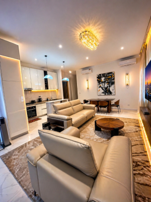 Luxury  Furnished 2 Bedroom Flat with Bq Upstairs ,with Elevator, Ikoyi, Ikoyi, Lagos, Flat / Apartment for Rent