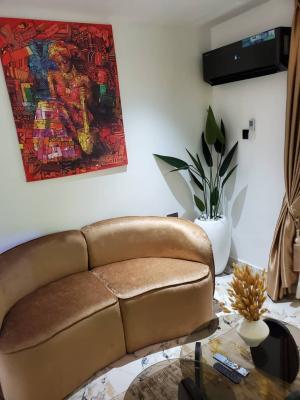 Serviced and Furnished 1 Bedroom Apartment, Copa Cabana Avenue, Lokogoma District, Abuja, Mini Flat (room and Parlour) Short Let