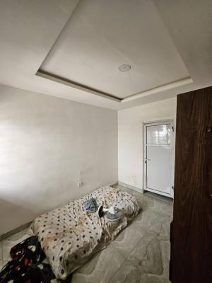 Clean and Standard Selfcon, Igboefun, Lekki, Lagos, Flat / Apartment for Rent