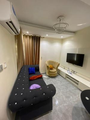 Fully Furnished 1 Bedroom Apartment, Ogudu, Lagos, Mini Flat (room and Parlour) for Sale