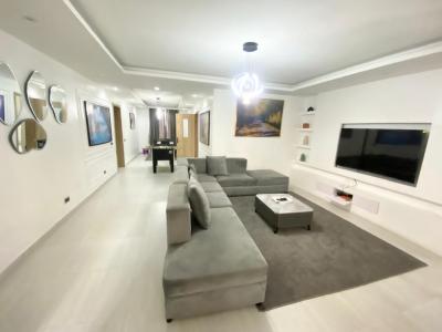 Spacious Serviced Brand New 2 Bedroom Apartment in Chisco Ikate, Chico Axis, Ikate, Lekki, Lagos, Flat / Apartment for Rent