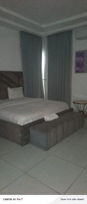 Furnished 3 Bedroom Duplex in Ikate Lekki, Salem Bus Stop Behind Elevation Church, Lekki Phase 1, Lekki, Lagos, Terraced Duplex for Rent
