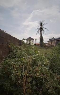 Secured and Valuable Half Plot of Land, Olaniyi Odunbanwo Area, Abule Egba, Agege, Lagos, Residential Land for Sale