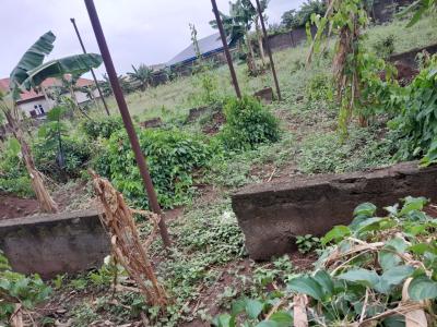 Demolishable Property on a Land Measuring Approximately 1300sqm, Off Ijede Express Way,, Gberigbe, Ikorodu, Lagos, Detached Duplex for Sale