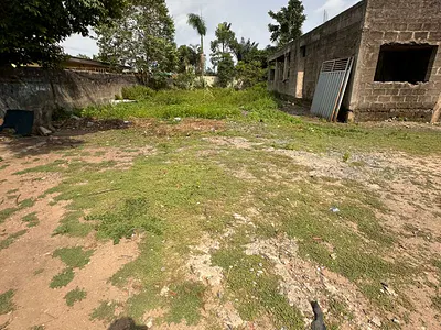One and Half Plot of Land