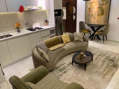 Furnished 1 Bedroom Apartment, Ikate, Lekki, Lagos, Flat / Apartment for Rent