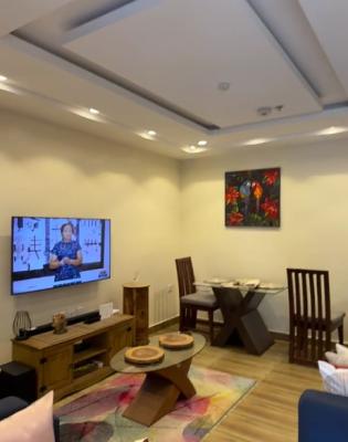 Furnished 3 Bedroom  Terrace Duplex, Naf Valley Estate Asokoro, Asokoro District, Abuja, Terraced Duplex for Rent