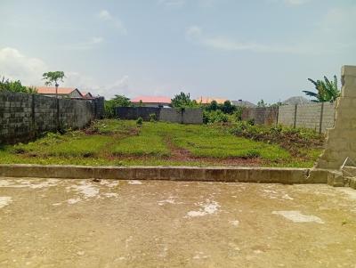 a Plot Gazetted Off Express Way, Off The Express Way, Alatise, Ibeju Lekki, Lagos, Mixed-use Land for Sale