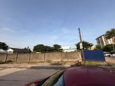 Prime Land, Adeola Odeku Street, Victoria Island (vi), Lagos, Land for Sale