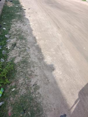 Strategic 2900 Sqm Plot with Huge Setback, Lekki Expressway, Lekki, Lagos, Commercial Land for Sale