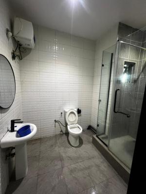 2 Bedroom Apartment  Fully Serviced  Pool  Elevator, Freedom Way, Lekki Phase 1, Lekki, Lagos, Flat / Apartment for Rent