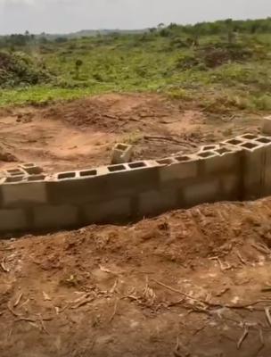 2.5 Acres 2 Million per Plot (slightly Negotiable) Size: 7,500sqm, Isiwo Town, Km 46, Ogun, Mixed-use Land for Sale
