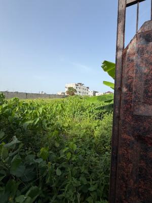 Land 1300sq (registered Doa), Atlantic View Estate, Alpha Beach Road, Igbo Efon, Lekki, Lagos, Residential Land for Sale