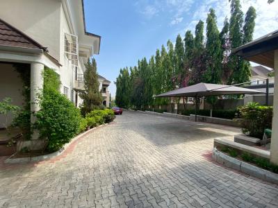 a Very Good & Fully Serviced 3-bedroom Flat + 1bq, Aso-drive, Maitama District, Abuja, Flat / Apartment for Rent