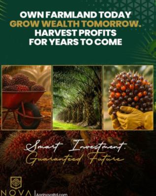 Own The Palm Plantation, Grow The Wealth, Harvest The Future, Agri-nova Palm City, Imala Anigbado, Abeokuta North, Ogun, Commercial Land for Sale