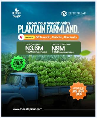 1acre of Plantain Farm: Invest and Earn Millions in Return, Alabata, Abeokuta North, Ogun, Commercial Land for Sale
