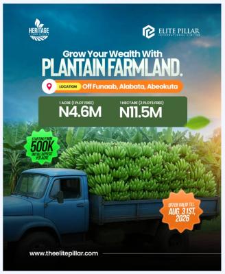 1acre of Plantain Farm: Invest and Earn Millions in Returns Annually, Alabata, Abeokuta North, Ogun, Commercial Land for Sale