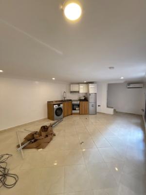 Serviced and Fully Fitted One Bedroom Apartment, Lekki Phase 1, Lekki, Lagos, Mini Flat (room and Parlour) for Rent