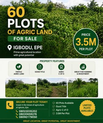 Agriculture Land( C of O), Off Lgbodu Road Epe, Epe, Lagos, Commercial Land for Sale
