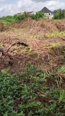 Promising Half Plot of Land, Isheri Olofin, Alimosho, Lagos, Residential Land for Sale