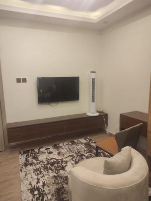 Brand New Luxury Fully Furnished Studio Apartment with Massive Balcony, Lawanson, Surulere, Lagos, Self Contain (single Rooms) for Sale