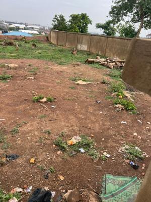 a 2000sqm Commercial Land, Jabi, Abuja, Commercial Property for Rent
