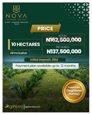 Nova Palm City, Imala-anigbado, Abeokuta North, Ogun, Tank Farm for Sale