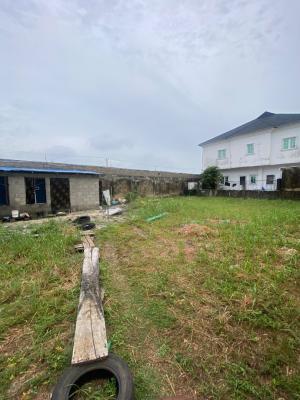 450sqm of Land ( Back Plot, Victory Park, Osapa, Lekki, Lagos, Residential Land for Sale