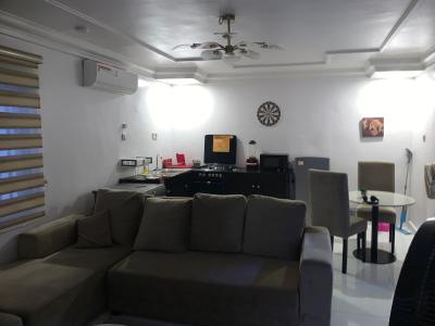 Furnished 1 Bedroom Apartment, Victoria Island, Victoria Island (vi), Lagos, Mini Flat (room and Parlour) for Rent
