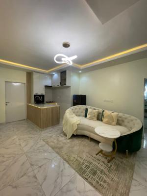 Beautiful One Bedroom Apartment, Asokoro District, Abuja, Mini Flat (room and Parlour) Short Let
