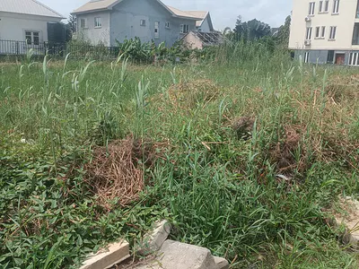Available Bareland for Residential Use Measuring 1, 689SQM — Eleganza Bus Stop Off Orchid Road, Lekki Expressway, Lekki, Lagos