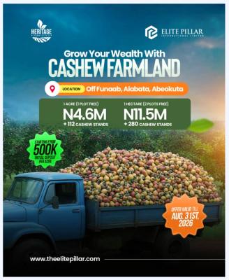 1 Acre of Cashew Farm: Annual Return of N4.5m Above. You Need This!, Alabata, Abeokuta North, Ogun, Mixed-use Land for Sale