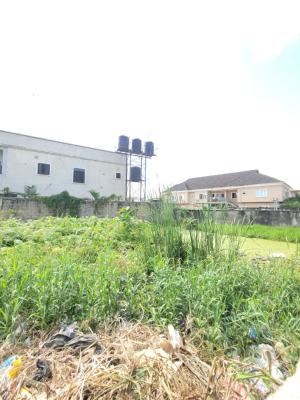 a Full Plot of Land, First Unity Estate, Badore, Ajah, Lagos, Mixed-use Land for Rent