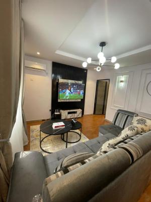 Beautiful Executive Luxurious Juicy Miniflat, Lekki Phase 1, Lekki, Lagos, Mini Flat (room and Parlour) for Rent