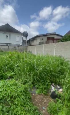 a Full Plot of Land, Off Brown Road, Aguda, Surulere, Lagos, Mixed-use Land for Sale