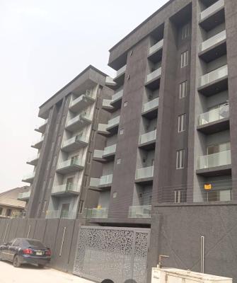 Newly Built 2 Bedroom Luxury Apartment, Seagate Estate, Palm Spring Road, Salem, Ikate, Lekki, Lagos, Flat / Apartment for Sale