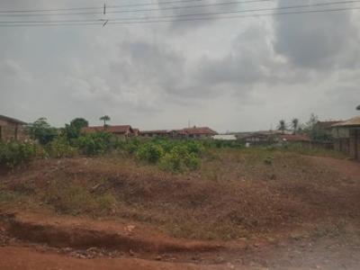 One Acre of Mixed  Use Parcel of  Land, Behind Heridom Hotel, Adogba, Monatan Iwo Road, Ibadan, Oyo, Mixed-use Land for Sale