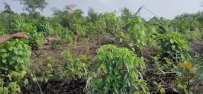 Plots of Lands, Casabala Estate, Epe, Lagos, Mixed-use Land for Sale