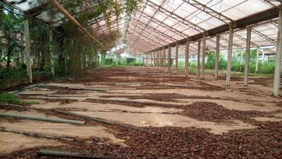 12 Warehouses on 20 Acres (81,788.70 Square Meters), with Perimeter Fe, Directly Facing The *lagos-ibadan Expressway,  Near Shagamu Interchang, Mowe Ofada, Ogun, Warehouse for Sale