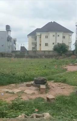 1,333sqm, Residential, C of O, Tarred Road, By American International School, Durumi, Abuja, Residential Land for Sale